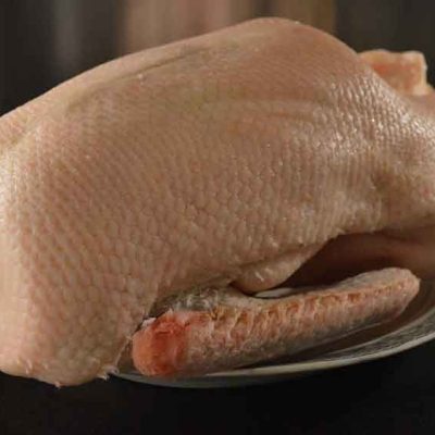 Free Range Goose